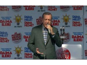 Böceği Yerleştirdiler, Bir Şey Bulamadılar