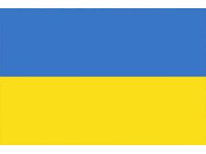 Yetkileri Meclis Başkanına Devrildi