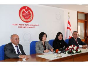 Kktc Meclis Başkanı Sibel Siber: