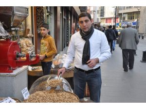 (Özel Haber) Antep Fıstığında Rekor Artış