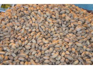 Fiyatı Tavan Yaptı