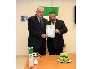 Hdı Sigorta ‘Yeşil Ofis Belgesi’ Aldı