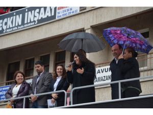 Hdp Eş Genel Başkanı Sebahat Tuncel: