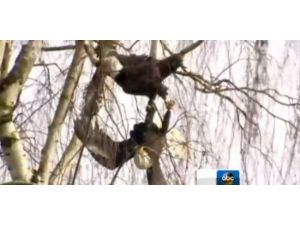 Saatler Süren Kavganın Ardından Bakın Ne Yaptılar !