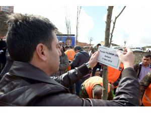 Erkek Şiddeti İle Öldüler, Fidanlarda Can Buldular