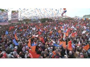 Gazze Ve Kahire Bizi İzliyor