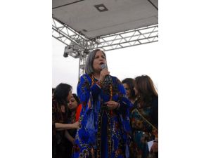 Diyarbakır’da 8 Mart Mitingi