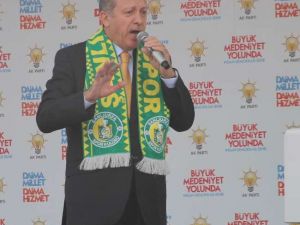 Üç Kafadar 3 Şaşkın Ördeğe Döndü