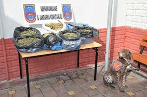 Kahramanmaraşta Uyuşturucu Operasyonu