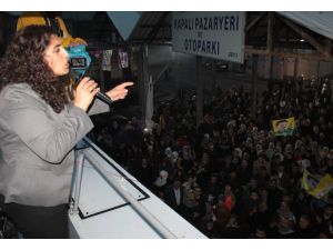 Hdp Eş Genel Başkanı Sebahat Tuncel: