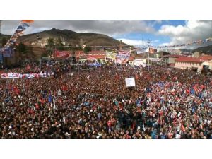 Alim Vatanını Seven Kişidir