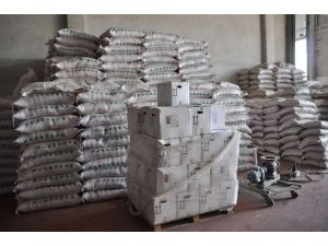 60’tan Fazla Ülkeye İhraç Ediyoruz