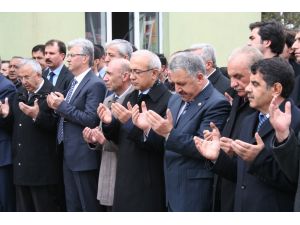 Bakan Lütfi Elvan Lojistik Merkez’in Yapılacağı Bölgede İncelemede Bulundu