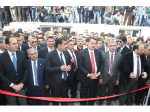 Bakan Çelik, Ceylanpınar İlçesinde Açılışlara Katıldı