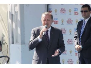 Niye Kaçtın Gittin Buradan? 