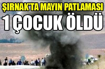 Şırnakta mayın patladı: 1 çocuk öldü 