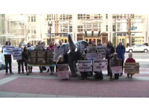 Peta’dan Sirk Hayvanları İçin Protesto