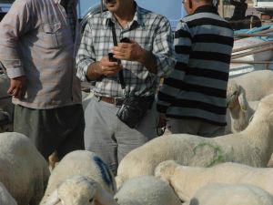 Kurbanlıklar Cep Yakacak