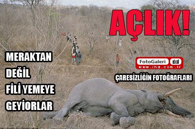 Zimbabwede insanlık dramı! 