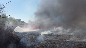 Aksu Mahallesi Sazlık Alanda Yangın
