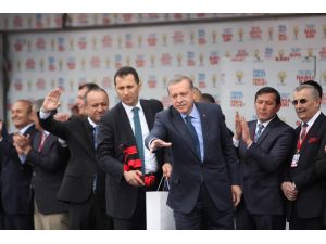 Başbakan Recep Tayyip Erdoğan: