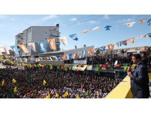 Bdp Genel Başkanı Demirtaş Ahlat’ta