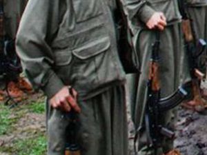 Pkk’nın Kaçırdığı Muhtar Bdp’ye Mi Geçti ?