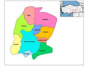 Kahramanmaraş Sonuçları Belli Oldu