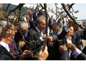 Bakan’dan Çiftçilere Müjde