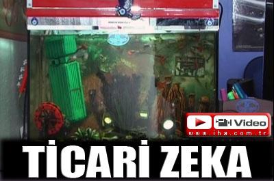 Ticari zeka 