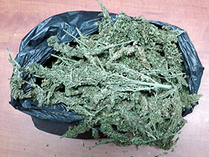 Kahramanmaraşta Uyuşturucu Operasyonu 