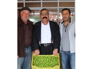 Erik, Üreticinin Yüzünü Güldürdü