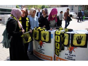 Ak Partili Gençler, Mısırdaki İdam Kararları İçin İmza Kampanyası Başlattı