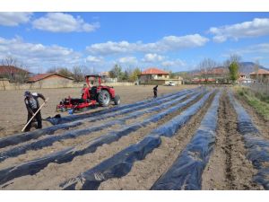 Isparta Organik Tarımda Atağa Geçti