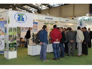 Zeytinyağında İhracatın Yolu İç Tüketimden Geçiyor