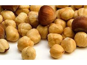 Bu İller Afet Bölgesi Kapsamına Alınmalı