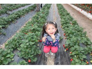 Serasını Ar-ge Tesisine Dönüştürdü