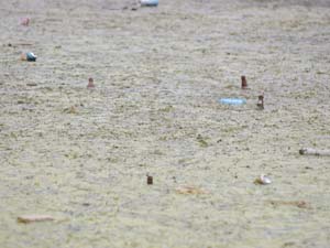 Bağlama Gölü Tehdit Altında