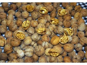 (Özel Haber) Ceviz Fiyatlarına Soğuk Hava Şoku