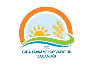 Bakanlık O Firmaları Açıkladı