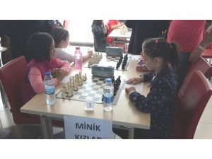 Eraslan Kardeşler, Satrançta Başı Çekti