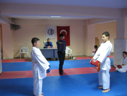 Karate Türkiye Şampiyonası