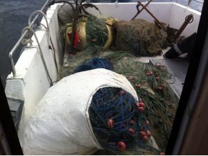 Ordu’da Kalkan Ağı Avı