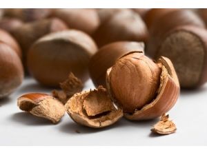 Yeni Sezonda Fındık Fiyatı...