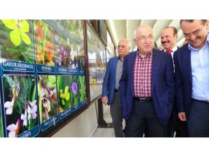 Tbmm Başkanı Cemil Çiçek Ve Msb Bakanı İsmet Yılmaz Hatay’da