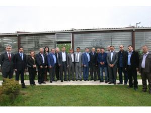 Fındıkta 2015 Zor Yıl