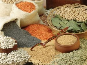 Kuru Gıdada Kuraklık Endişesi Yok