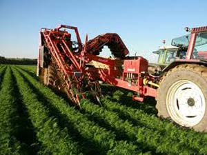 Tarımda Doğru ve Dengeli Beslenme Çalıştayı