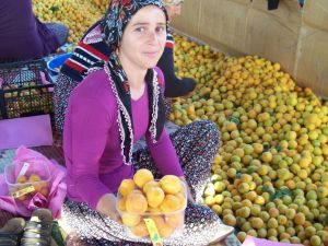 Günde 400 Ton Kayısı İhraç Ediliyor