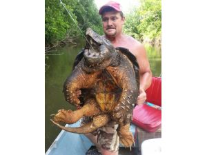 Oltaya Balık Yerine Dev Kaplumbağa Takıldı